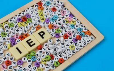 Special Needs News | February 2026