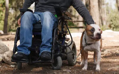 Special Needs News | May 2026